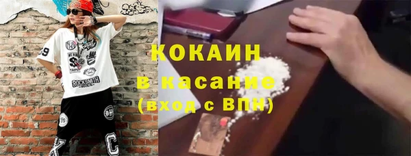 соль ск Алексин
