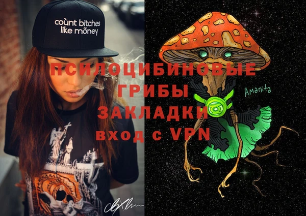 соль ск Алексин