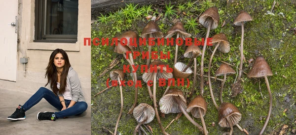 MESCALINE Алзамай