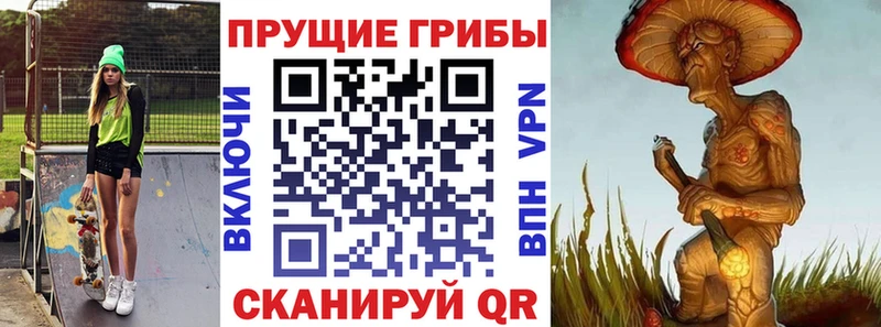 Галлюциногенные грибы Psilocybe  Балашов 